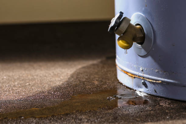 Best Water damage restoration near me  in Houston, AK