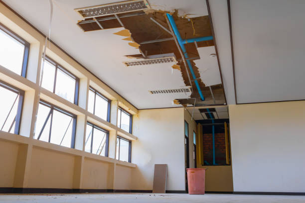 Best Water damage cleanup near me  in Houston, AK