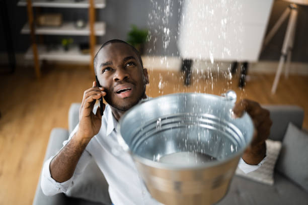 Best Water damage restoration company  in Houston, AK