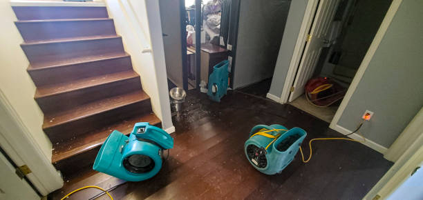 Best Sewage cleanup and water damage restoration  in Houston, AK