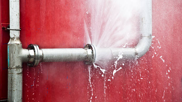  Houston, AK Water damage restoration Pros
